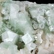 Zoned Apophyllite Crystals Cluster with Stilbite - India #44426-4